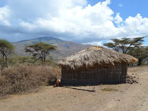 Tanzanie/Kenya, pays Massa