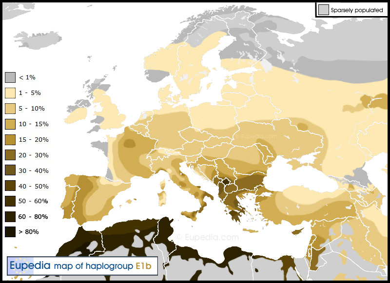 Rpartition de l'haplogroupe E1b1b en Europe, au Moyen-Orient et en Afrique du Nord